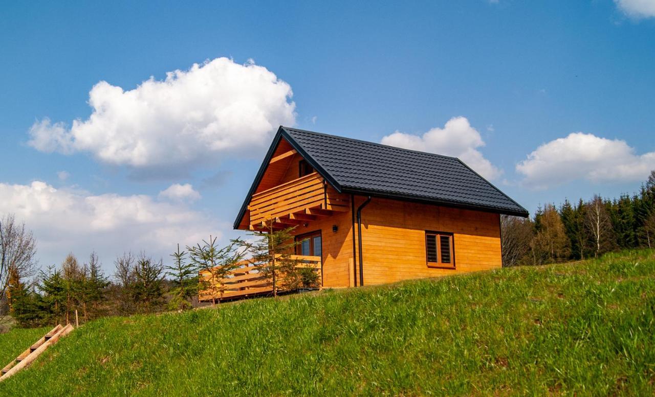 W Bartnicy - Gory Sowie Holiday home *
