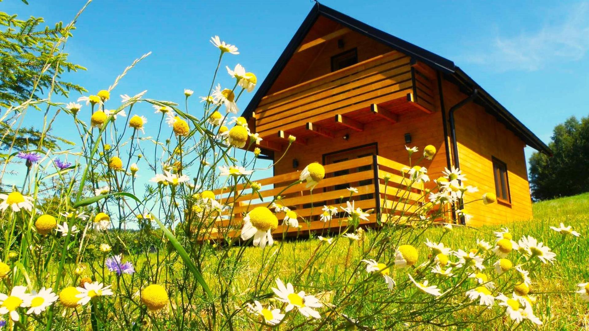 W Bartnicy - Gory Sowie Holiday home *